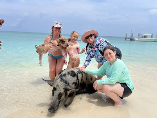 21 Mako Family Snorkel & Beach Day/ Swimming pigs