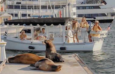 Bateau électrique Duffy de luxe de 22 pieds avec capitaine | Marina del Rey, Los Angeles