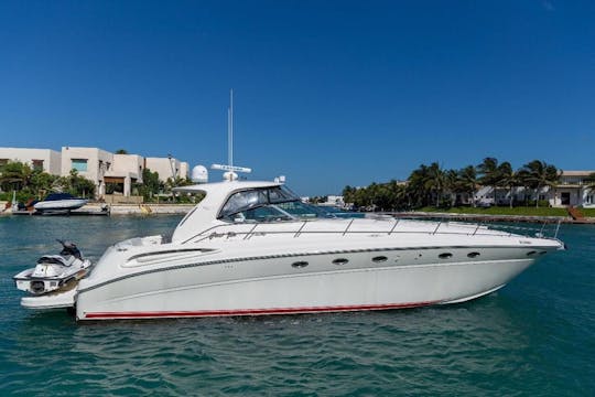 Amazing Sea Ray 55' Yacht in Cancun, get ready for Furia Roja!!!!