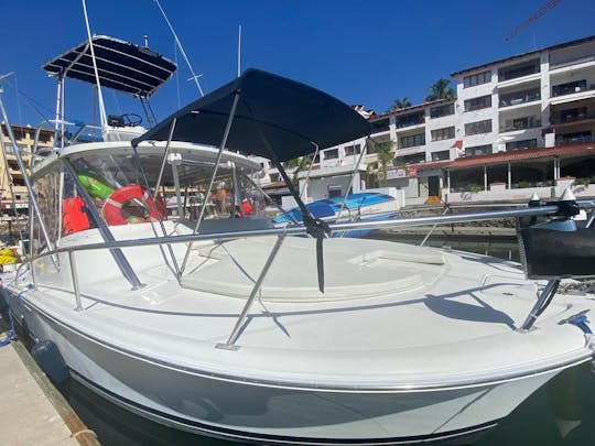 Amusement et aventure sur le yacht Luhrs 32 avec un capitaine professionnel