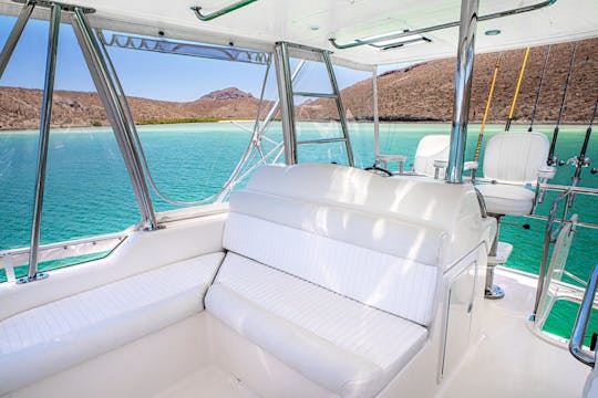 Yate de pesca deportiva Riviera 41