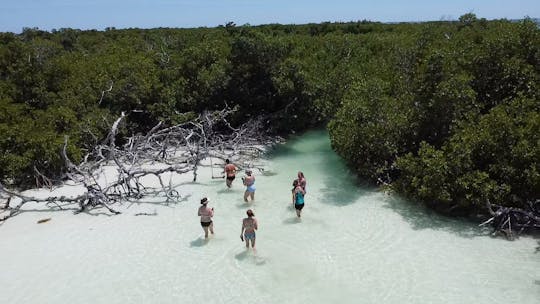 Vamos a pasear en bote como un lugar local de reunión en Sandbar, ir de isla en isla o hacer surf de remo