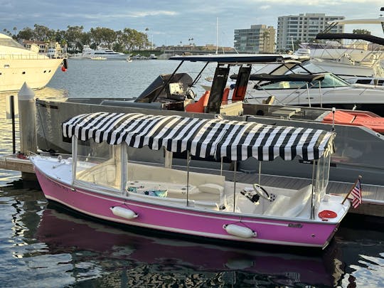Pretty in Pink 21 Foot Duffy | Driver Included in Price (Up to 12 Guests)