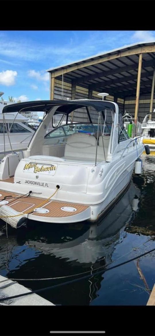 BAILARÍN SEA RAY DE 37 PIES