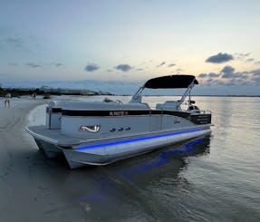 Beautiful Tritoon cruiser! Dolphin 🐬 Cruises, Sand bar fun! 🏖️