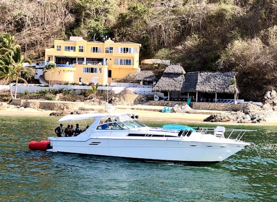 460 Sea Ray Sundancer, Casual Yacht cruiser in Puerto Vallarta