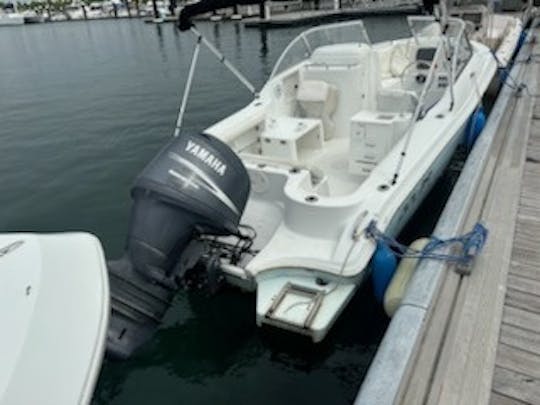 Console duplo Polar de 21 pés para cruzeiro, mergulho com snorkel, pesca e passeios turísticos!