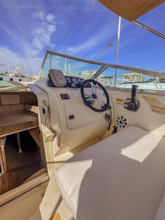 Yacht à moteur Sea Ray de 22 pieds à La Perla del Pacifico