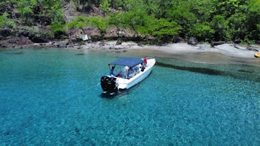 Excursion privée de plongée avec tuba et visite guidée avec un bateau de Formule 31