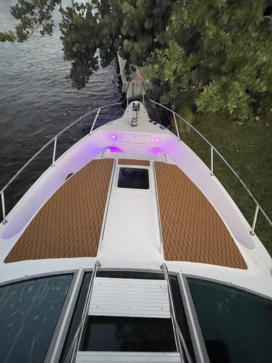 Sea Lux 50FT Sea Ray in Fort Lauderdale!!