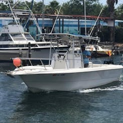 Location de bateaux de pêche sur un Pro-Line 24 Sport à Destin en Floride !