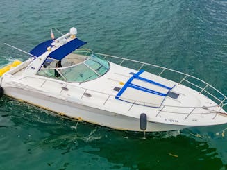 ¡Disfrute de Miami con el yate a motor Sundancer de 44 pies!