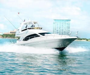Luxury Experience on 44ft Sea Ray Yacht | Puerto Vallarta (Includes food)