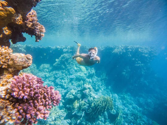 Lancha particular por 2 horas, visite a costa com transferência - Sharm El Sheikh