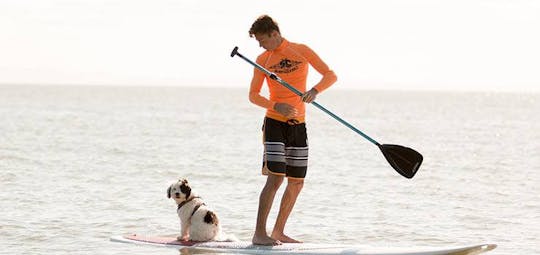 Memorable stand up paddle boarding adventure tour in Brisbane, Australia