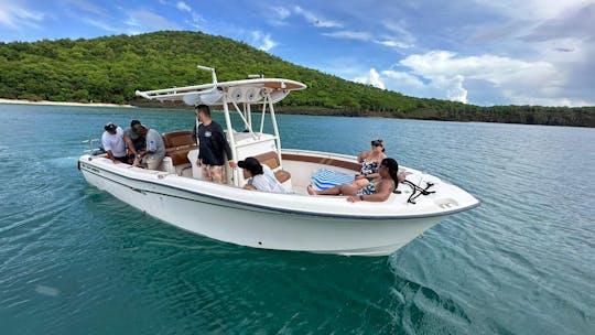 Grady White 28' Private Boat Charter / Trip to Icacos Palomino Vieques (up to 12