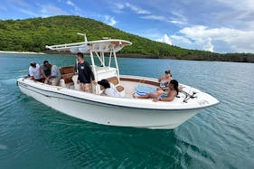 Grady White 28' Private Boat Charter / Trip to Icacos Palomino Vieques (up to 12