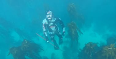 Excursions en mer, croisières de pêche et plongée sous-marine