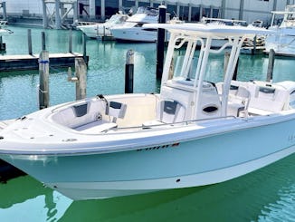 24' Robalo CC Lake Michigan charters. Desde el centro de Chicago hasta las playas de Indiana