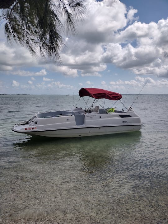 Barco a motor Chaparral de 23 pés com capa Bimini para aluguel diário