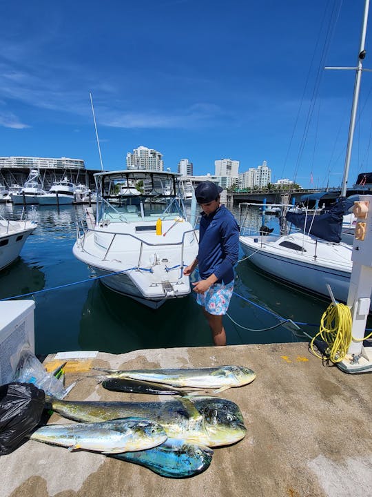 Experiencia de pesca | Charter 4 horas | Viaje de pesca