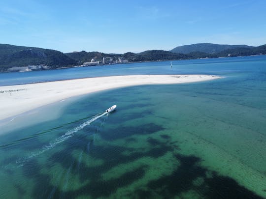 Tour por Río Sado para hasta 12 personas