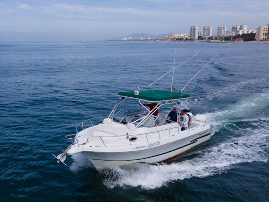 Lancha Pro-Line de 32 pés para sua escapada no mar em Puerto Vallarta.