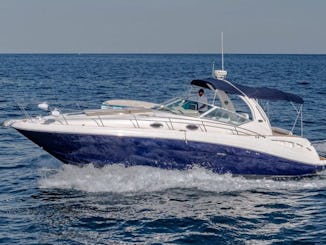 Cruise on a 35FT SEARAY in Cabo San Lucas, Mexico!