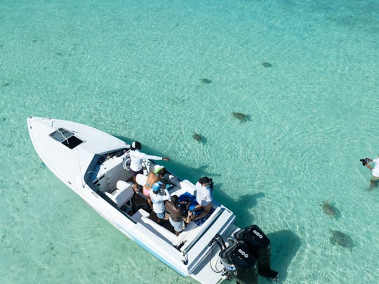 Excursão à Ilha do Porto e Eleuthera 