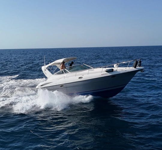 Cruiser 38 Palomino e Icacos Dream Boat
