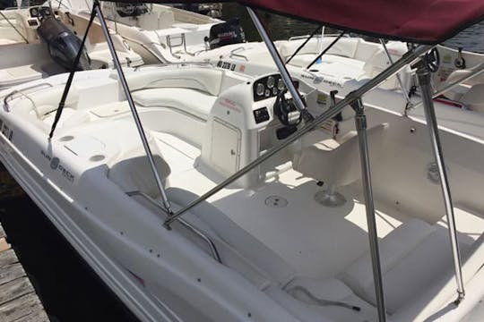 19' Hurricane (S) | Seats 6 | Ready For Adventure On The Chesapeake