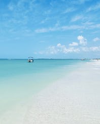 Private Pontoon Tours for up to 6 people with Captain in Clearwater Beach