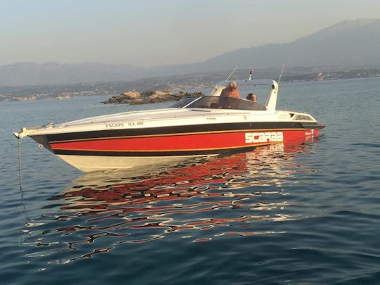 Barco a motor privado Skippered Wellcraft Scarab Excel 31" 850 HP para 1 até 6 pessoas