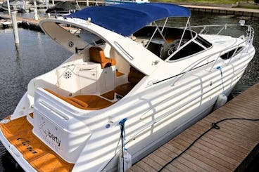 Yacht à moteur Bayliner Day de 34 pieds pour 12 personnes