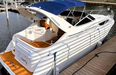 34' Bayliner Day Motor Yacht for 12 person
