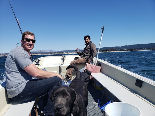 Alquiler de lanchas o lanchas motoras Boston Whaler de 16 pies