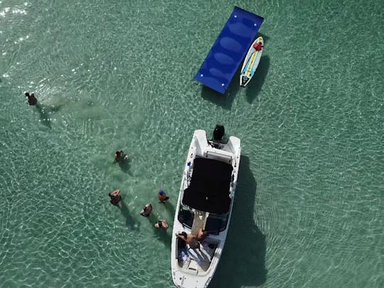 Lets go boating like a local Sandbar hangout/ Island Hopping/ Paddle-boarding