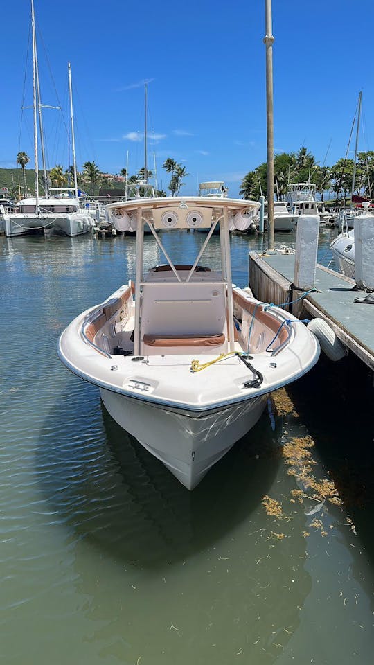 Grady White 28' Private Boat Charter / Trip to Icacos Palomino Vieques (up to 12