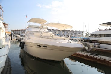Sea Ray 400 Sport Cruiser