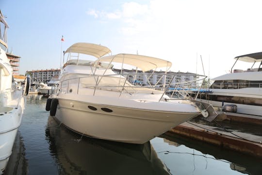 Cruzador esportivo Sea Ray 400
