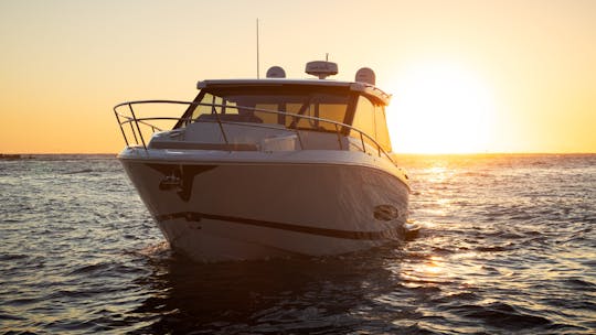 "Nauti Dawg II" Charter in St. Petersburg, FL