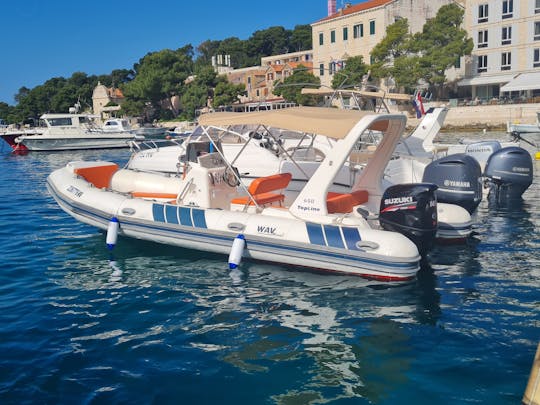 Tiger marine Topline 650 Fuel and skipper included in the price