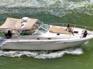 34' Sea Ray Yacht Charter in Miami Mon-Thur 1 hr free after 3 hrs booked