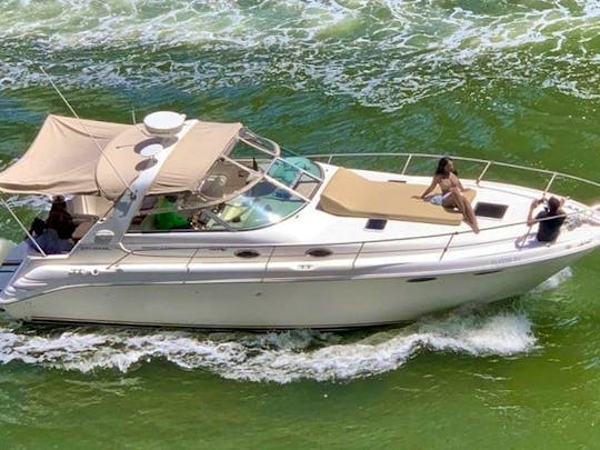 33' Sea Ray Motor Yacht Charter in Miami