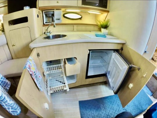 VIP Regal 34' Charter – Where Comfort Meets Class