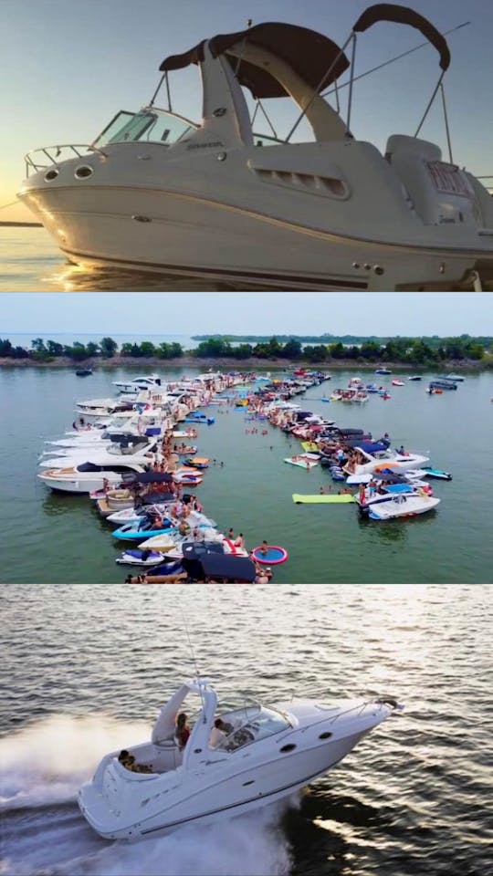 Surf/Tube/Family Cove, Party Cove