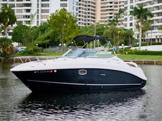 Sea Ray 260 ! Bienvenue dans la jungle !