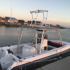 Charte de pêche au chat de mer de 26 pieds et/ou au requin - Catch and Release 