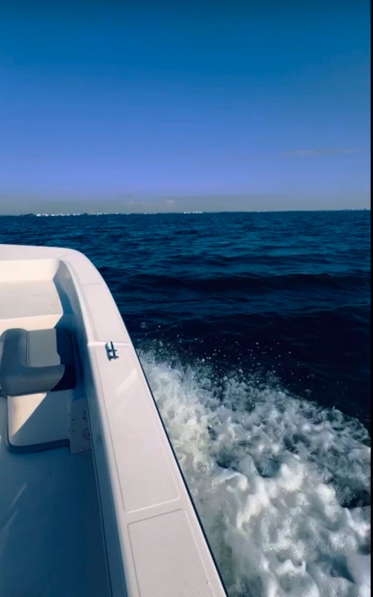 Alquiler de botes en St. Pete y Anna Maria: pesca y diversión familiar