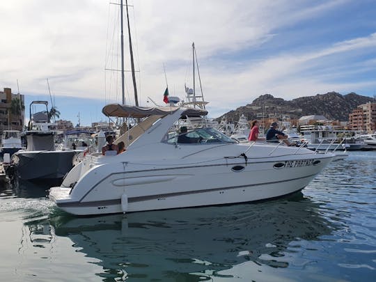 Sea Ray 32 pieds, parfait pour votre escapade estivale ! ! !